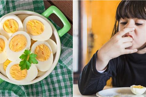 Ini 5 Efek Samping Jika Terlalu Banyak Makan Telur Ayam Sewa Baliho