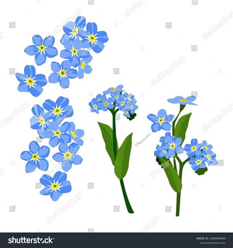 White Blue Forget Me Not Over 2921 Royalty Free Licensable Stock