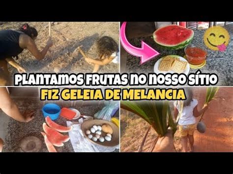 Plantamos Rvores Frut Feras No S Tio Fiz Uma Geleia De Casca De