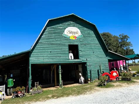 Delicious Apple Orchards In Hendersonville Nc Uncorked Asheville