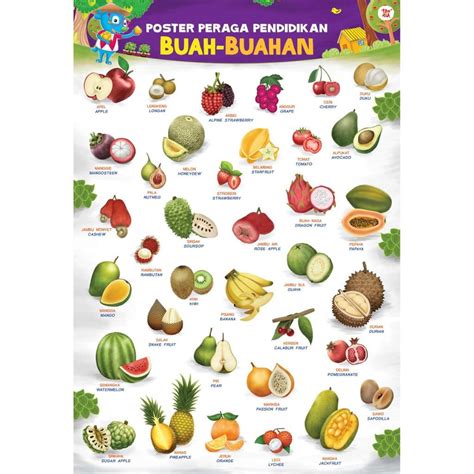 100 Nama Buah Dan Gambarnya 60 Koleksi Gambar