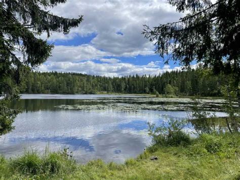 Oslo Private E Bike Tour Zum Sognsvann See Naturlandschaft