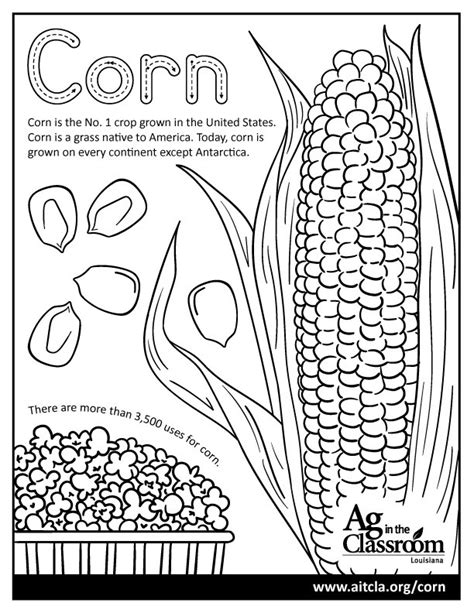 Corn — Louisiana Ag In The Classroom