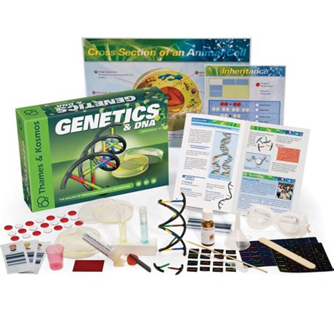 Genética E Dna Kit Ciência Educacional Biologia Molecular 22 Experimentos