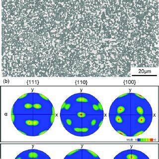 A EBSD Image Of Phase And Grain Boundary Of HPT Sample Annealed At