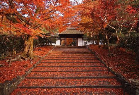 Japan Temple Autumn Temple Hd Wallpaper Pxfuel