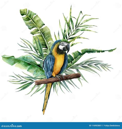 Watercolor Parrot With Tropical Leaves Hand Painted Parrot With