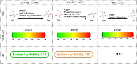 Frontiers Evolution Of Fertilization Related Genes Provides Insights