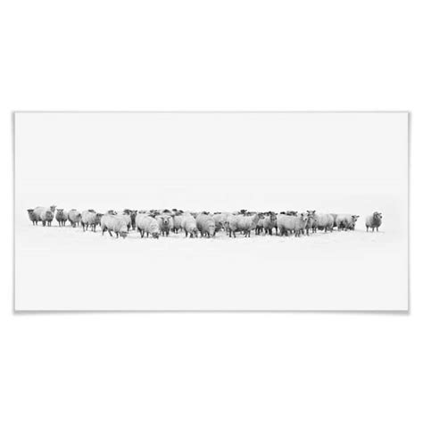 Papier Peint Photo Troupeau De Moutons Wall Art Fr