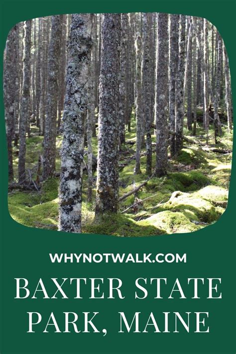 An Image Of The Baxter State Park Maine With Trees In The Background