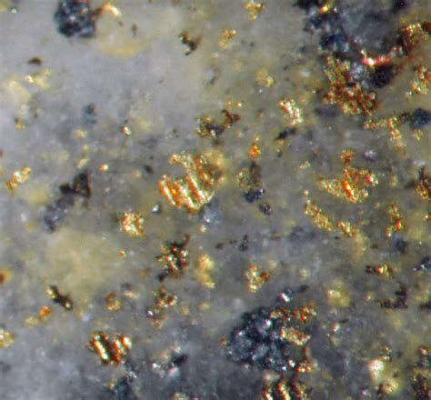 Gold With Pyroxmangite And Sulfides Plus Quartz Locality Sunnyside