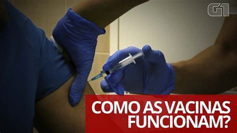 Vídeo Como as vacinas funcionam Ciência e Saúde G1