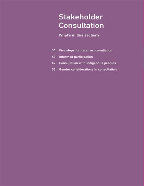 Stakeholder Consultation