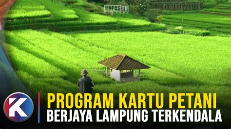 Program Kartu Petani Berjaya Belum Maksimal Petani Sulit Daftar Ke