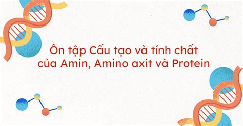 Ôn Tập Cấu Tạo Và Tính Chất Của Amin Amino Axit Và Protein Luyện Tập Hóa 12