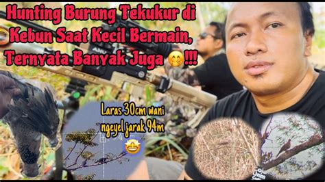 Hunting BURUNG TEKUKUR Bersama Mas Faridgiri8985 Dan Mas Ririkk P