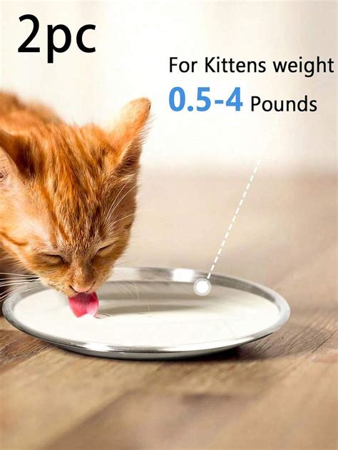 Stainless Steel Cat Bowl For Food And Water With Anti Fatigue Design