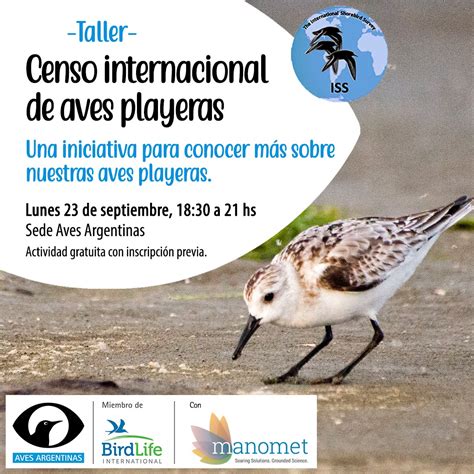 Taller Censo Internacional De Aves Playeras Aves Argentinas