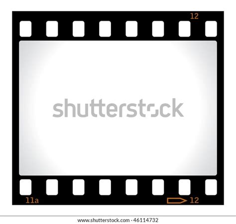 blank film negative stock vector royalty