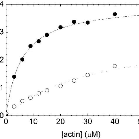 Actin Activation Of The Mx S Atpase Actin Activated Steady State