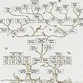 Guggenheim Family Tree Art Print by Science Source