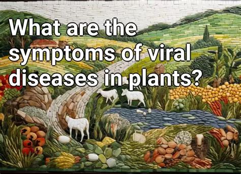 What Are The Symptoms Of Viral Diseases In Plants Agriculture Gov Capital