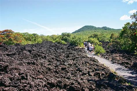 City of volcanoes: A guide for exploring Auckland's ancient volcanoes