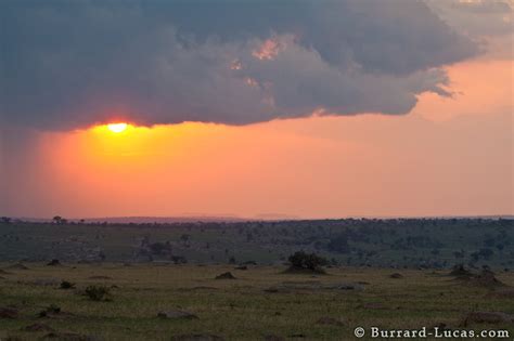 Serengeti Sunset - Burrard-Lucas Photography