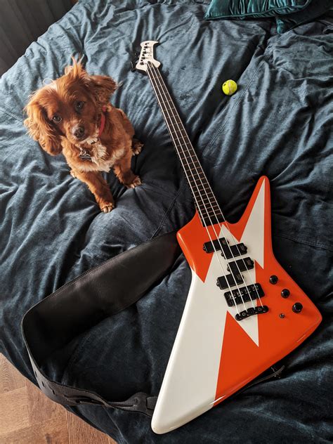 551 Best Stryker Images On Pholder Military Porn Nerf And Tank Porn