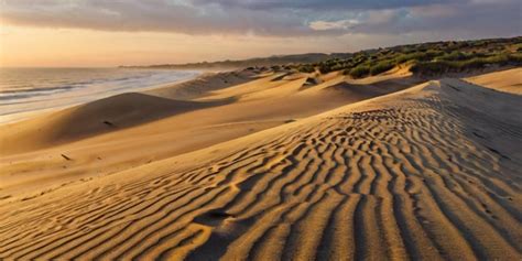 Premium Photo Panorama Landscape Of Sand Dunes System On Beach At Sunrise