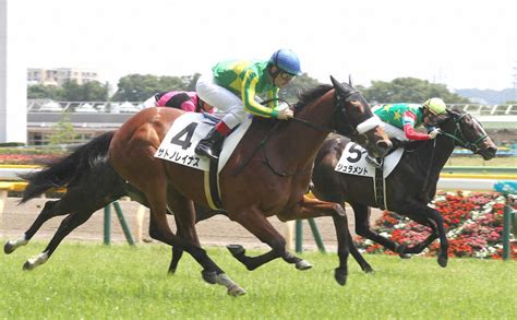 ＜東京5r・新馬戦＞レースを制したサトノレイナス（手前）（撮影・郡司 修） ― スポニチ Sponichi Annex ギャンブル