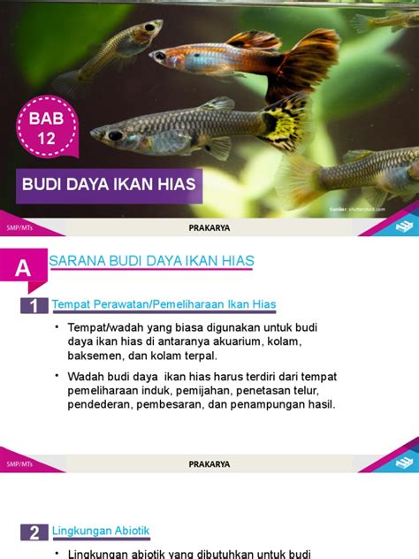 Bab 12 Budi Daya Ikan Hias