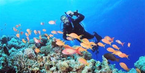 Finest Destinations For Scuba Diving In India