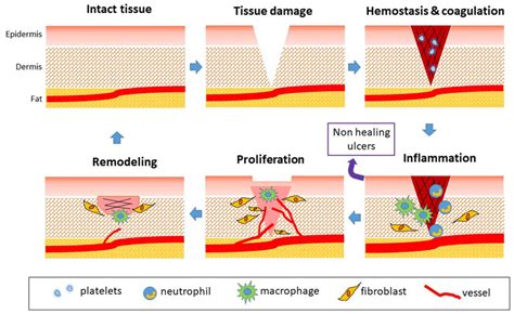 Pharmaceutics Free Full Text Current Progress And Outlook Of Nano