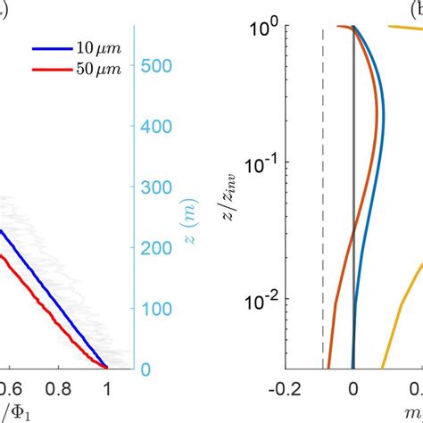 A Vertical Flux Profile For 10 And 50 µm Particles Normalized By The Download Scientific