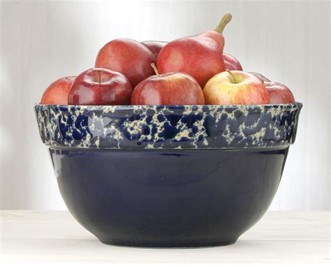 Farmhouse Bowl Ceramic Stoneware Serving Bowls