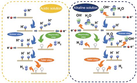 The Schematic Illustration Of Her Mechanism In Acidic And Alkaline