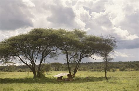 Wayo Walking Camp Untamed Travelling