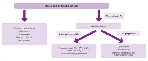 British Journal Of Nursing The Pathophysiology Assessment And