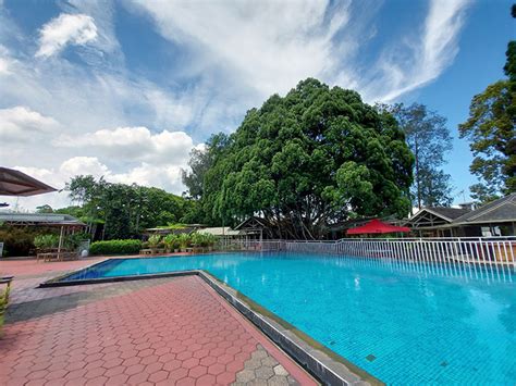 Eldorado Swimming Pool Alamat Tiket Masuk Dan Jam Buka