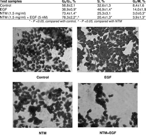 Distribution of MCF-7 cells by cell cycle phase under the influence of... | Download Table