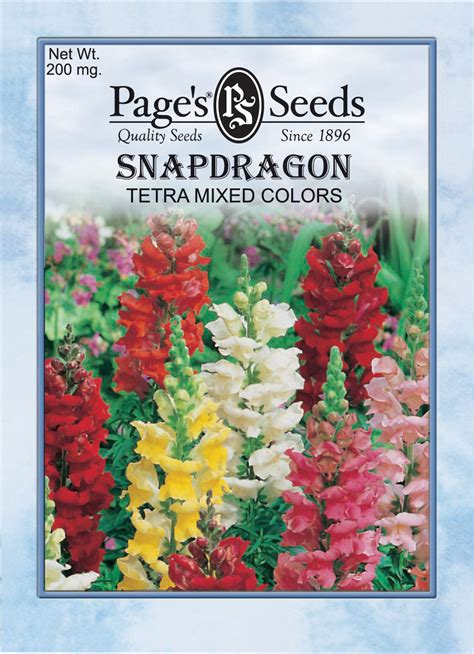 Snapdragon, Tetra Mixed Colors | The Page Seed Company, Inc