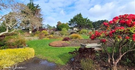 Mendocino Coast Botanical Gardens: rhododendrons, ocean views, whales ...