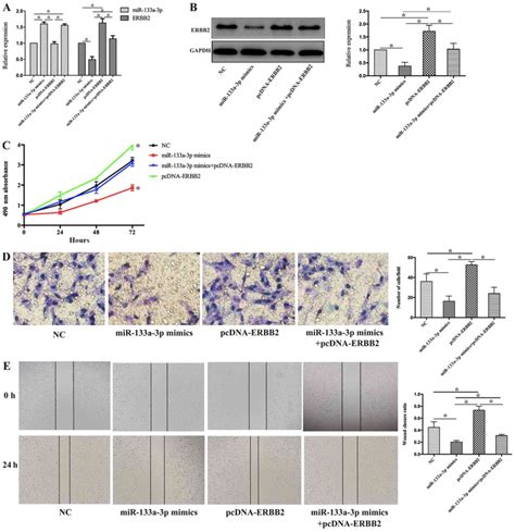 Microrna A P Suppresses Malignant Behavior Of Nonsmall Cell Lung