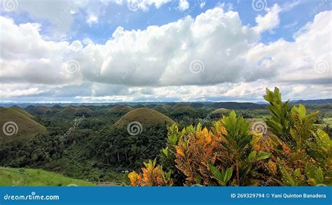 Chocolate Hills In Bohol Philippines Stock Photo Image Of Fact Hill