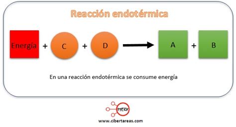 Ejemplos De Reacciones Quimicas Endotermicas Y Exotermicas Opciones