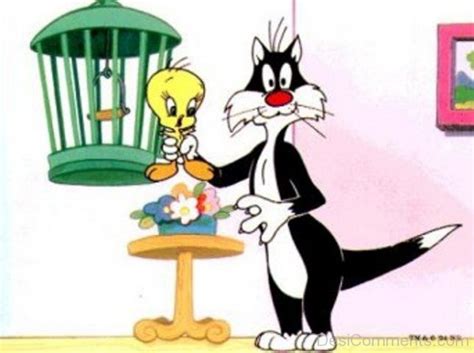 Sylvester Holding Tweety - Desi Comments