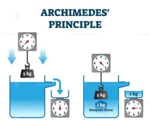 10 Archimedes Principle Applications in Daily Life – StudiousGuy