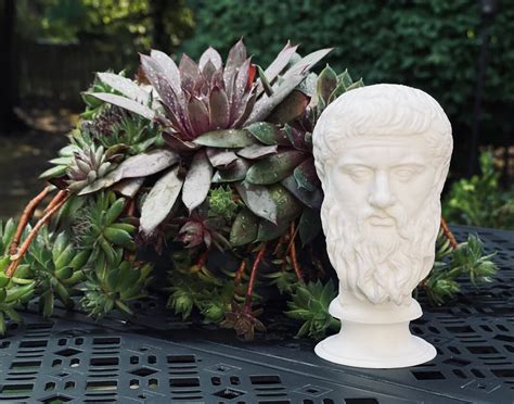 Plato Bust / Statue - Etsy