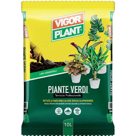 Vigorplant Terriccio Per Piante Verdi L Nuova Elica